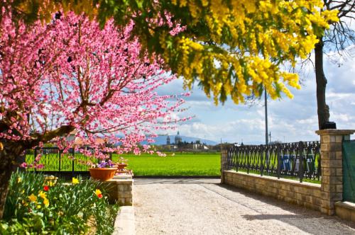 BB-le-stagioni-assisi-estate 1389