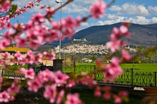 BB-le-stagioni-assisi-estate 1390