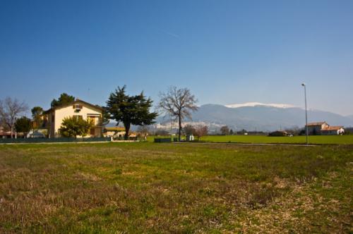 BB-le-stagioni-assisi-estate 1393