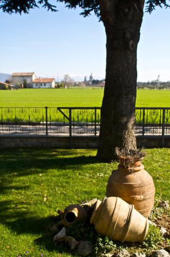 BB-le-stagioni-assisi-estate 1395