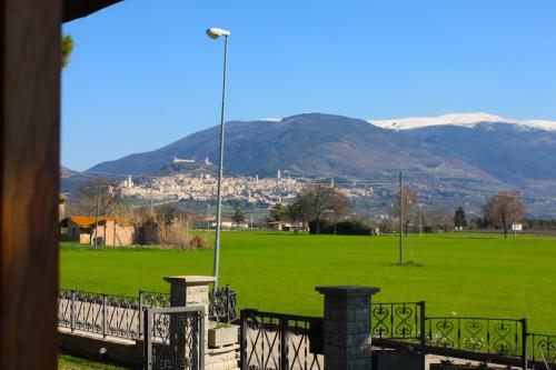 BB-le-stagioni-assisi-estate 1397